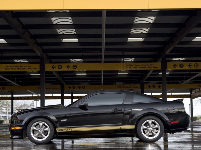 2006 Ford Shelby GT-H unveiled (Hertz Mustang)