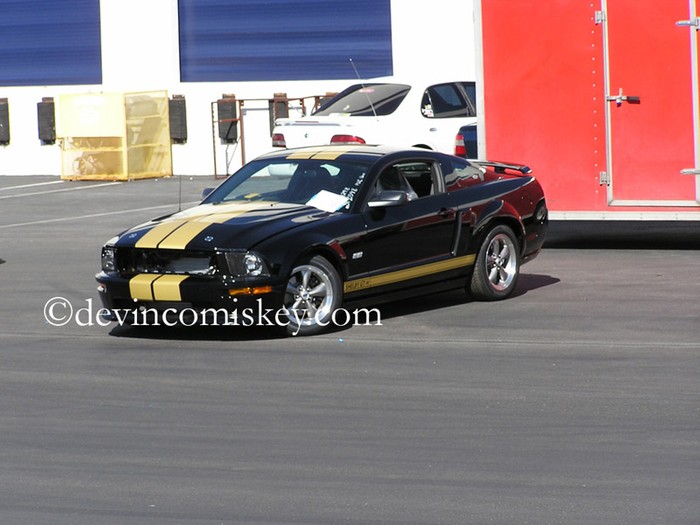More photos, details on Shelby GT350-H Hertz Mustang