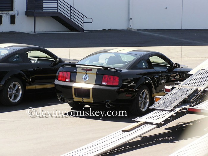 More photos, details on Shelby GT350-H Hertz Mustang