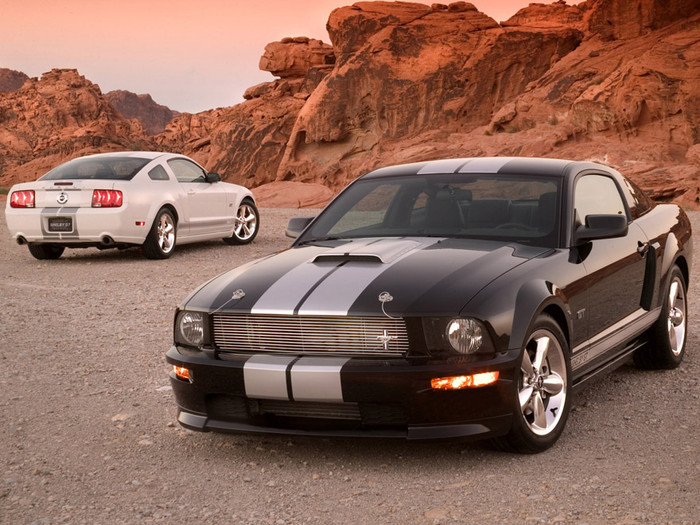 2007 Ford Shelby GT announced; on sale in January
