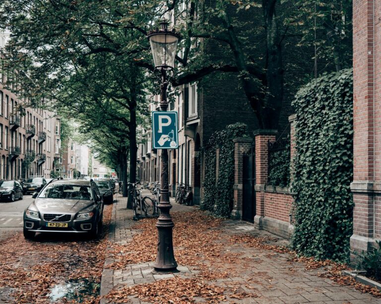 Picturesque city street in autumn with cars and bicycles lined along leafy sidewalks.
